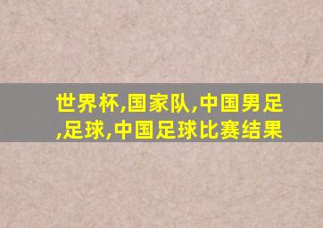 世界杯,国家队,中国男足,足球,中国足球比赛结果