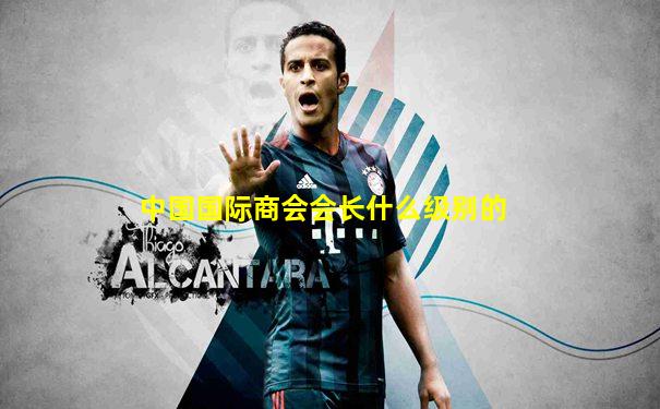 中国国际商会会长什么级别的