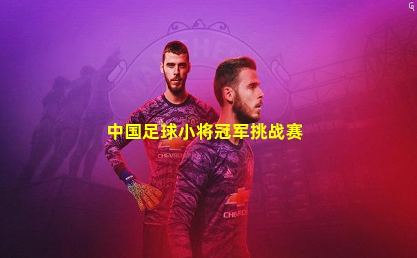 中国足球小将冠军挑战赛