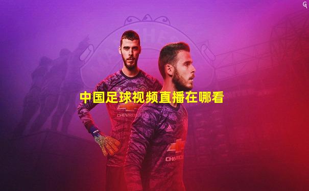 中国足球视频直播在哪看