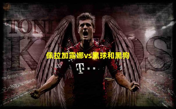 佩拉加露娜vs黑球和黑狗
