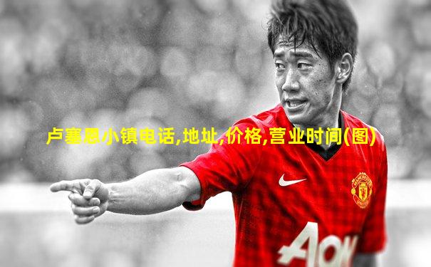 卢塞恩小镇电话,地址,价格,营业时间(图)