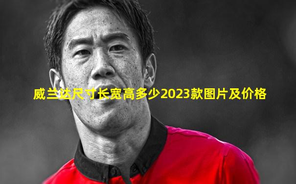 威兰达尺寸长宽高多少2023款图片及价格