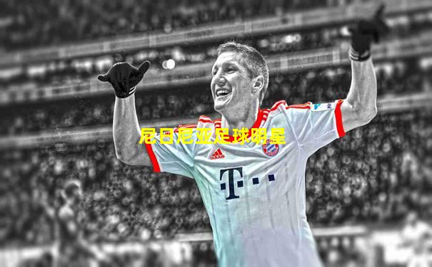 尼日尼亚足球明星