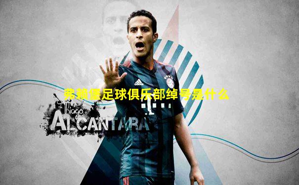 弗赖堡足球俱乐部绰号是什么