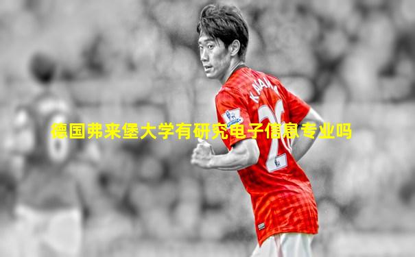 德国弗来堡大学有研究电子信息专业吗