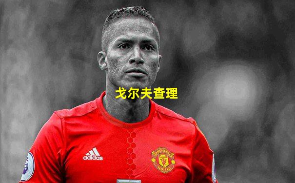 戈尔夫查理