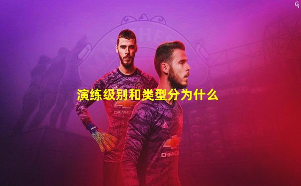 演练级别和类型分为什么