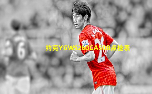 约克YGWS260CA50B点检表