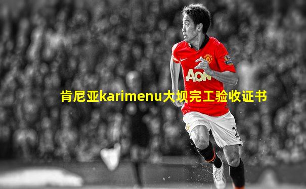 肯尼亚karimenu大坝完工验收证书