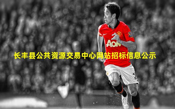 长丰县公共资源交易中心网站招标信息公示