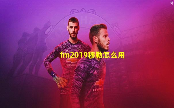 fm2019穆勒怎么用