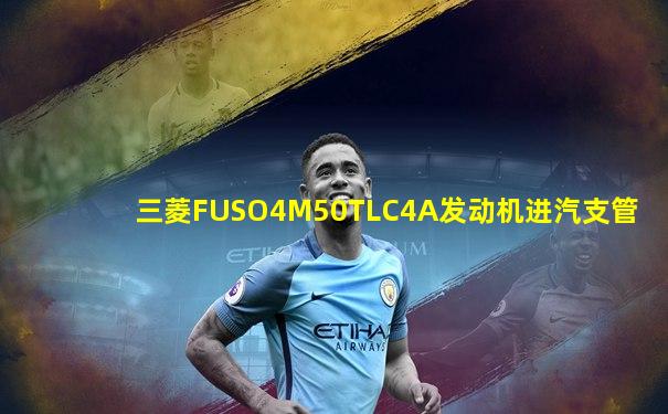 三菱FUSO4M50TLC4A发动机进汽支管