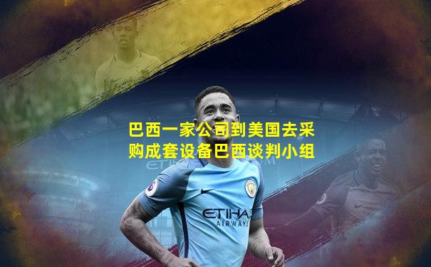 巴西一家公司到美国去采购成套设备巴西谈判小组