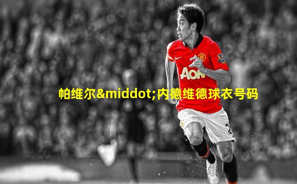 帕维尔·内德维德球衣号码
