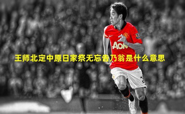 王师北定中原日家祭无忘告乃翁是什么意思