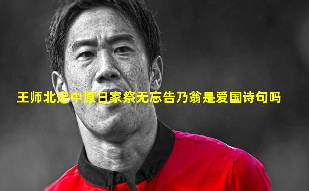 王师北定中原日家祭无忘告乃翁是爱国诗句吗