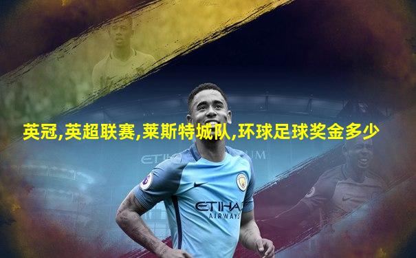 英冠,英超联赛,莱斯特城队,环球足球奖金多少